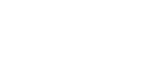 Briggs & Stratton